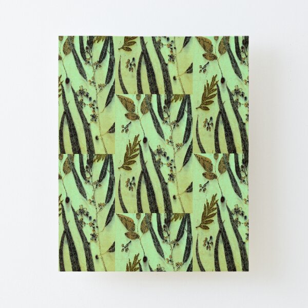 Green Eucalyptus Canvas Mounted Print