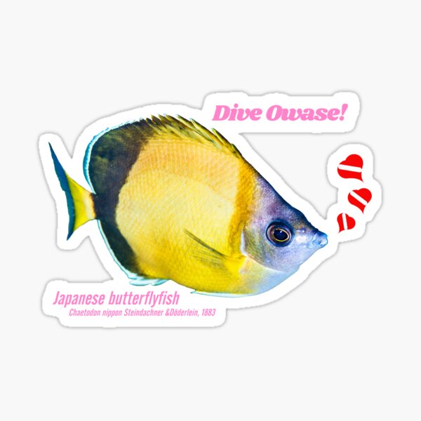 Lovely butterflyfish cut out print Sticker