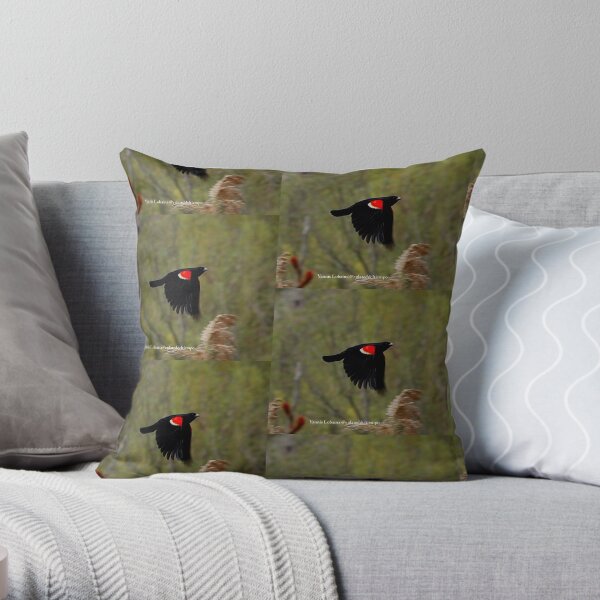 Red winged blackbird By Yannis Lobaina Throw Pillow