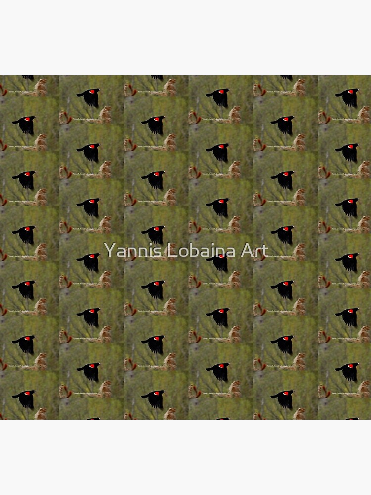 Red winged blackbird By Yannis Lobaina by lobaina1979