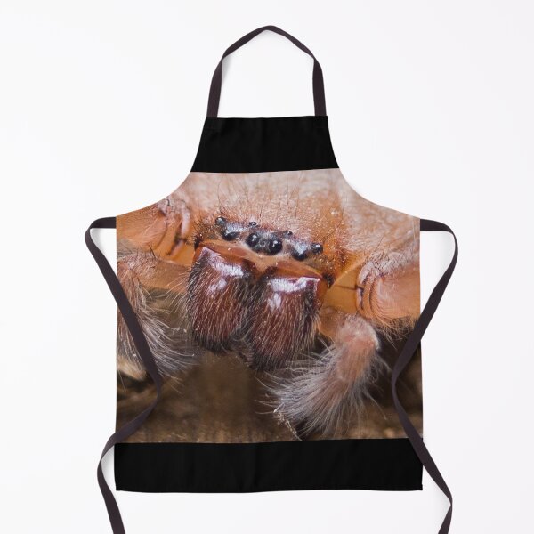 Item preview, Huntsman spider designed and sold by shaynetwright.