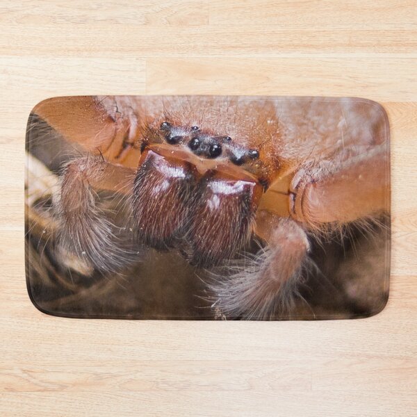 Item preview, Huntsman spider designed and sold by shaynetwright.