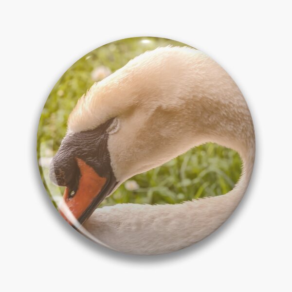 Item preview, Sleeping Mute Swan designed and sold by jvnimages.