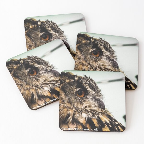 Item preview, Tawny owl in colour 1 designed and sold by designbywhacky.