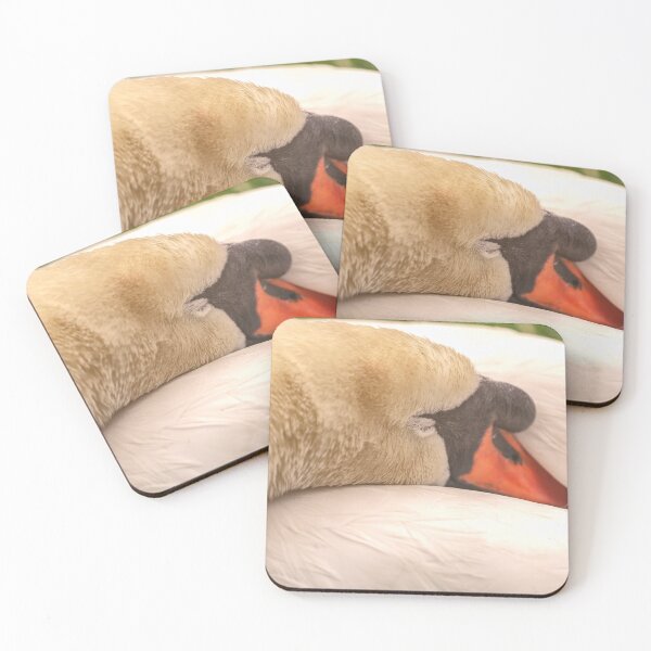 Item preview, Sleeping Mute Swan 2 designed and sold by jvnimages.