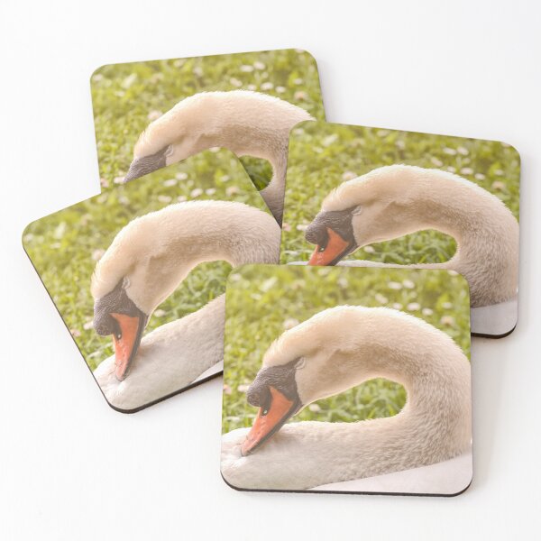 Item preview, Sleeping Mute Swan designed and sold by jvnimages.