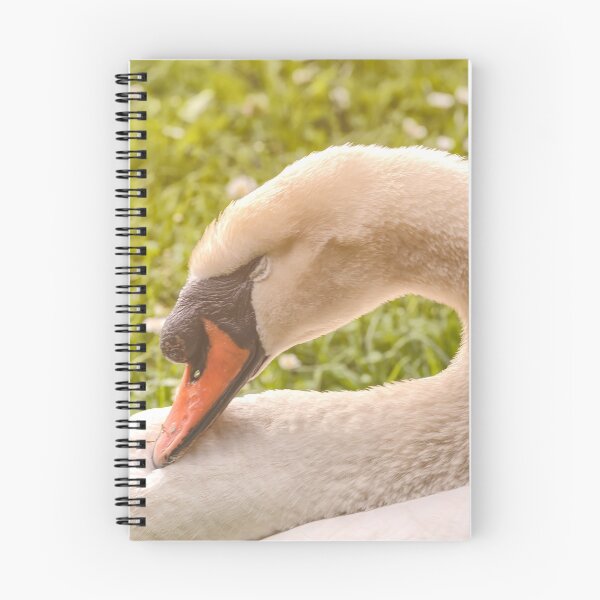 Item preview, Sleeping Mute Swan designed and sold by jvnimages.