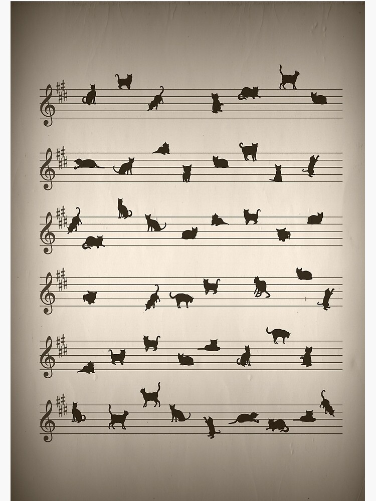 Cat Song Music  by KittyBitty1