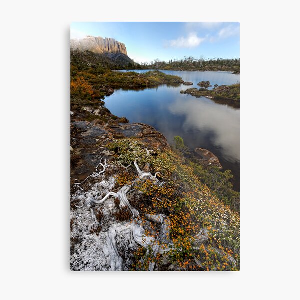 Good Morning Elysia Metal Print