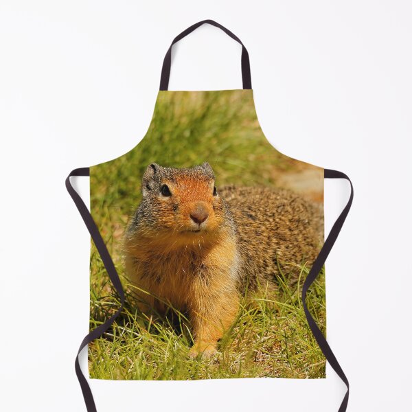 Item preview, A Hopeful Columbian Ground Squirrel designed and sold by walkswithnature.