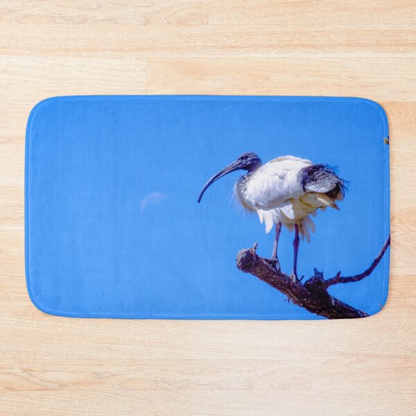 Item preview, The Australian White Ibis designed and sold by Steven Jodoin.