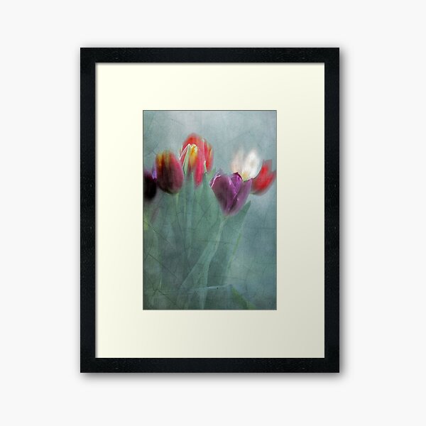 Tulpen Gerahmter Kunstdruck