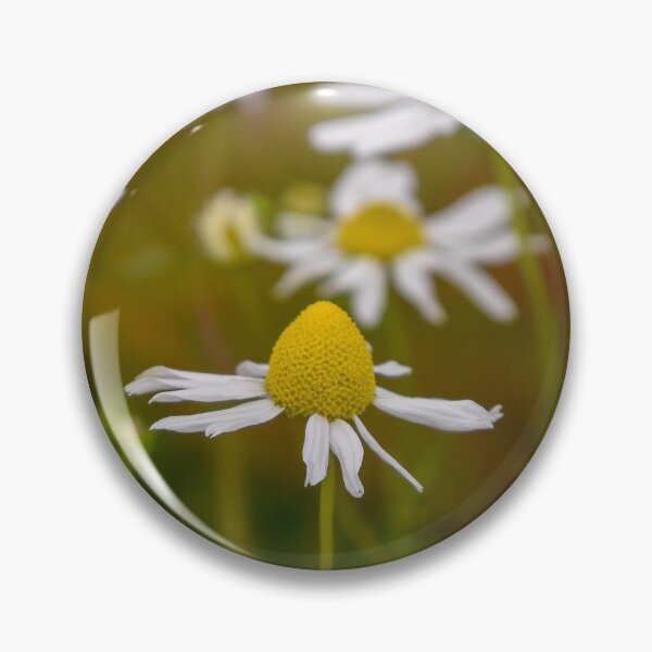 Item preview, Scented Mayweed Flower designed and sold by rwhooster.