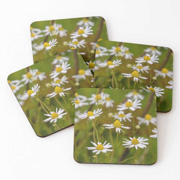 Item preview, Scented Mayweed Flower designed and sold by rwhooster.