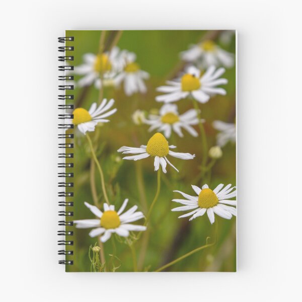 Item preview, Scented Mayweed Flower designed and sold by rwhooster.