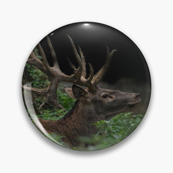 Item preview, Stag designed and sold by rawshutterbug.