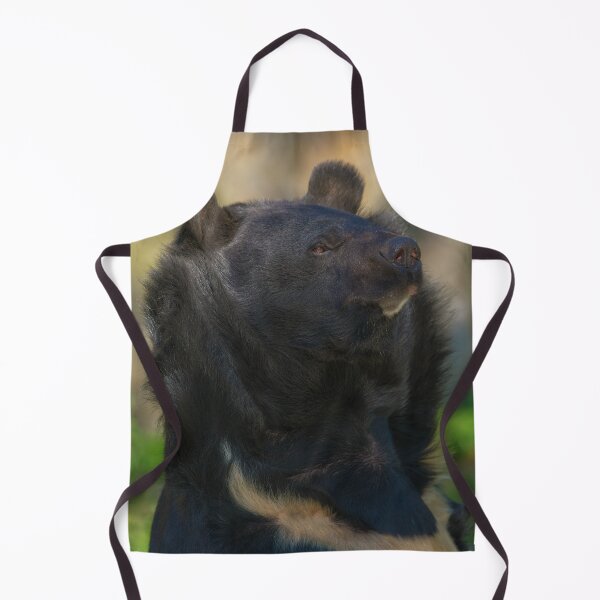 Item preview, Sloth Bear designed and sold by rawshutterbug.