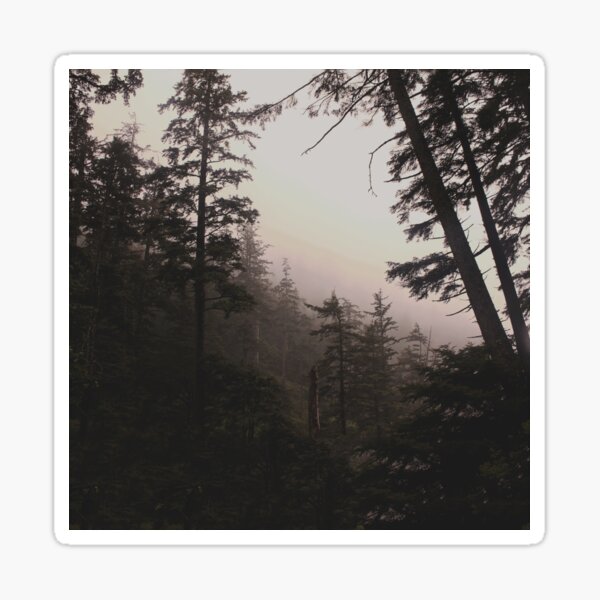 Oregon Coastal Forest Sticker