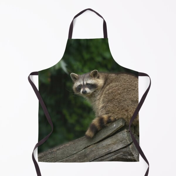 Item preview, Raccoon On A Log designed and sold by rawshutterbug.