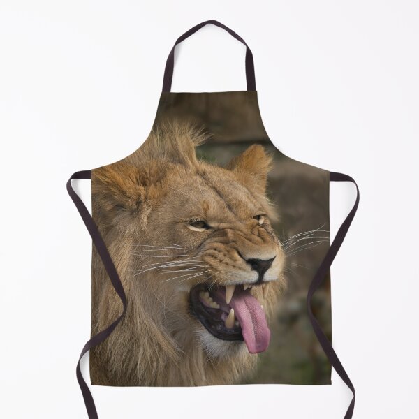 Item preview, Young Lion Showing His Teeth designed and sold by rawshutterbug.