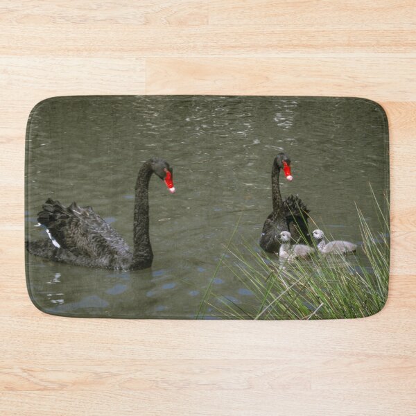 Item preview, Black Swans and two Cygnets - Lake Weeroona designed and sold by Steven Jodoin.