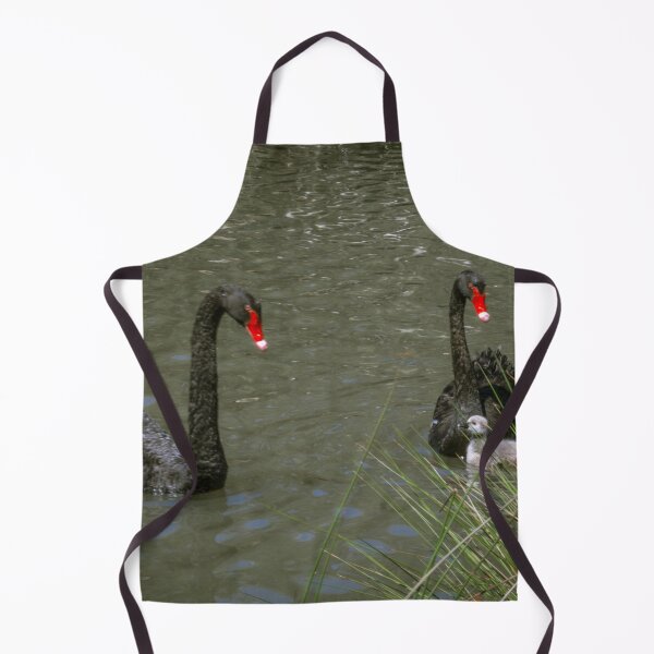 Item preview, Black Swans and two Cygnets - Lake Weeroona designed and sold by Steven Jodoin.