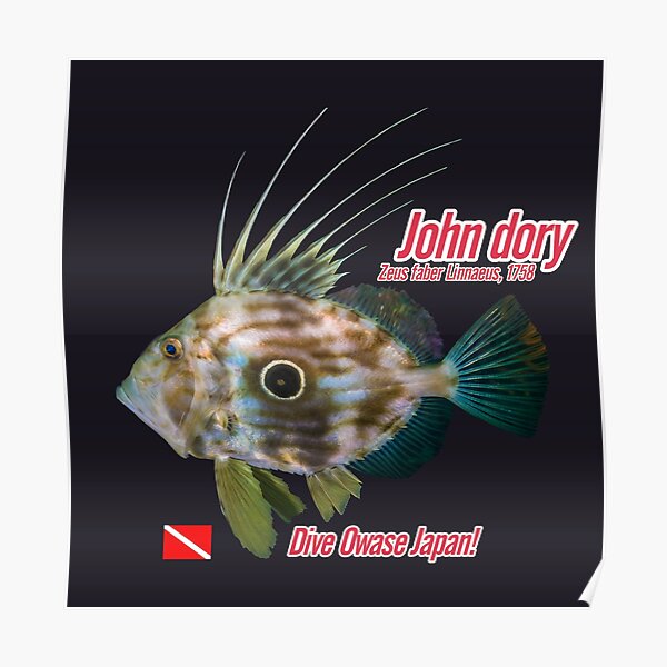 John dory cut out print Poster