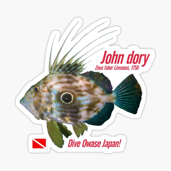 John dory cut out print Sticker