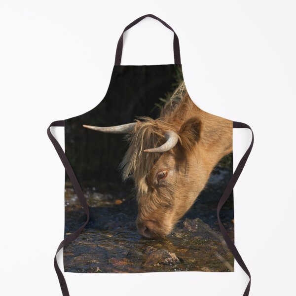 Item preview, Highland Cow Drinking From A Stream designed and sold by rawshutterbug.