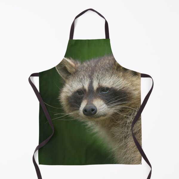 Item preview, Raccoon designed and sold by rawshutterbug.