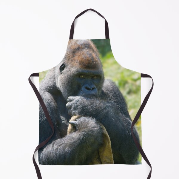 Item preview, Silverback Gorilla And His Blanket designed and sold by rawshutterbug.