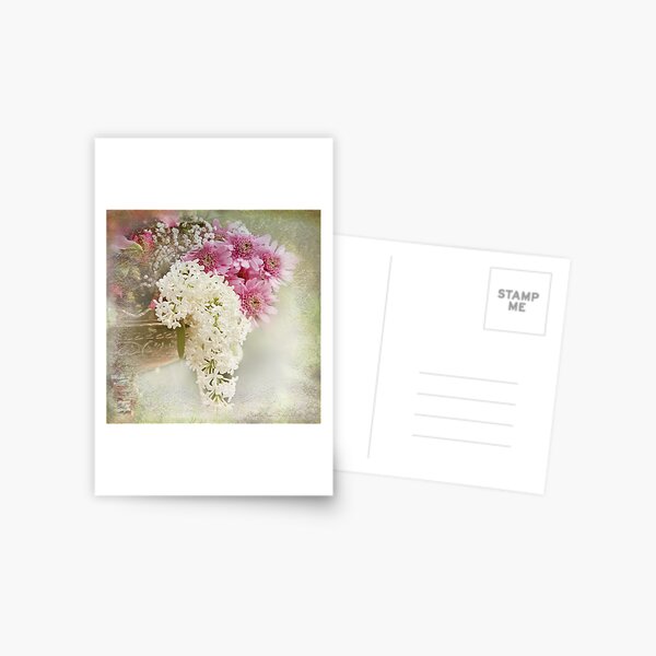 White lilacs Postcard