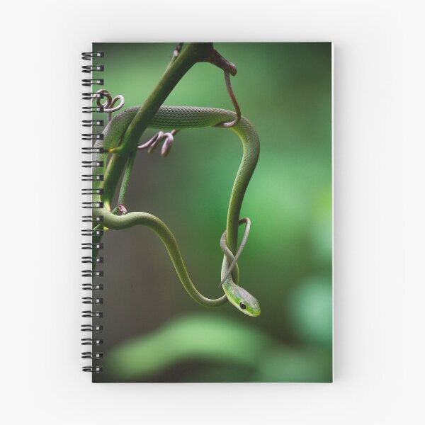 Item preview, Rough Green Snake designed and sold by ReptileAmphibia.