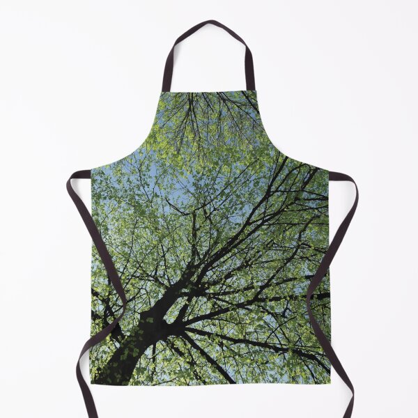 Item preview, Boston Common - Once Upon a Time in Massachusetts designed and sold by fimbisdesigns.