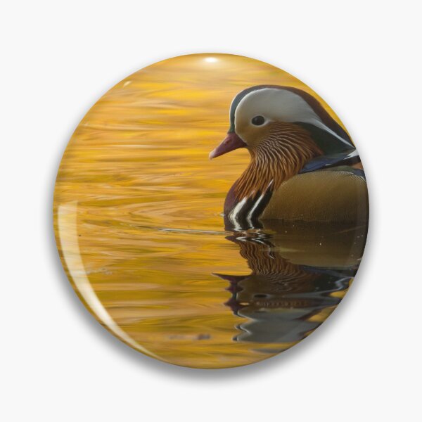 Item preview, Mandarin duck on a golden lake designed and sold by EwanJones.