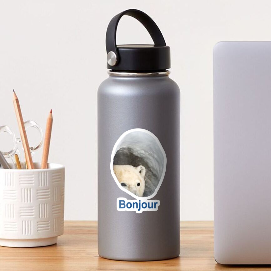 "Bonjour Polar Bear Meme" Sticker by PotatoGear | Redbubble