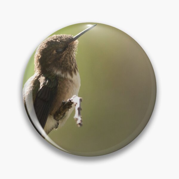 Item preview, Hummingbird basking designed and sold by EwanJones.