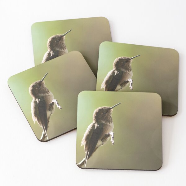 Item preview, Hummingbird basking designed and sold by EwanJones.