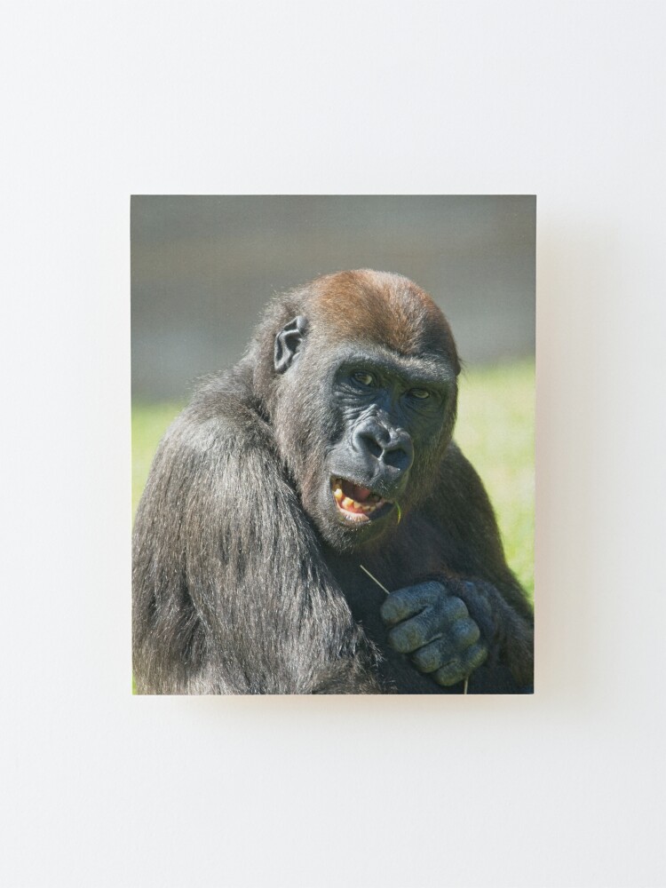 Gorilla Lope's Grin Throw Pillow for Sale by rawshutterbug