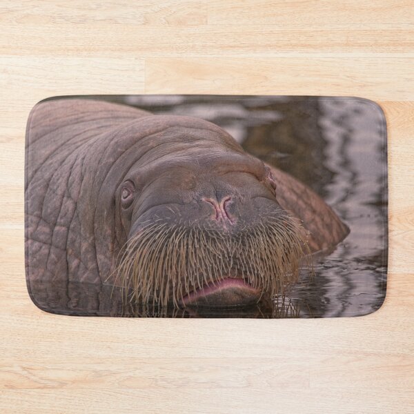 Item preview, Walrus Close-Up designed and sold by rawshutterbug.