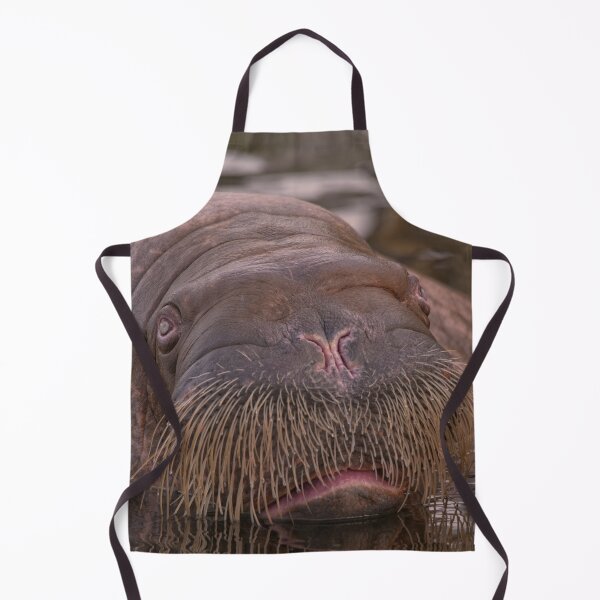 Item preview, Walrus Close-Up designed and sold by rawshutterbug.