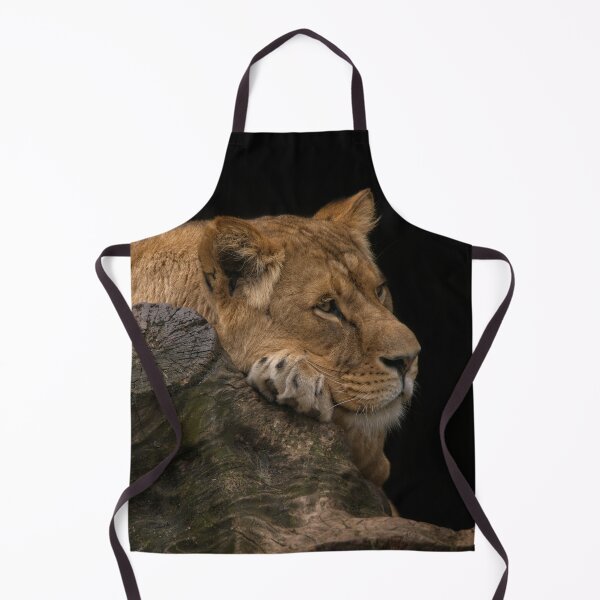 Item preview, Resting Lioness designed and sold by rawshutterbug.
