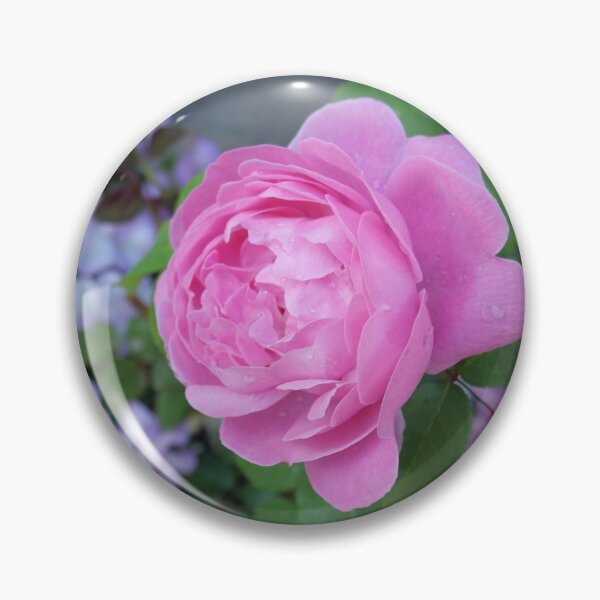 Artikelvorschau, Rose entworfen und verkauft von RaWhit.