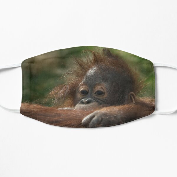 Baby Orangutan Flat Mask