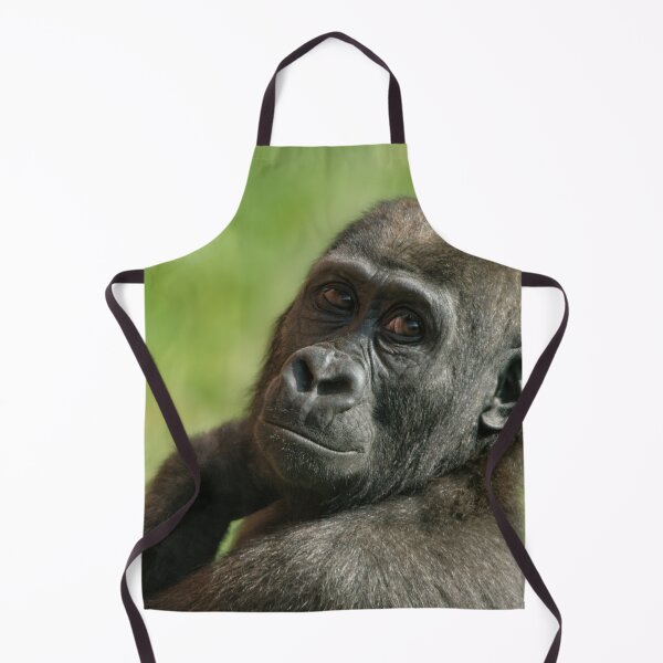 Item preview, Gorilla Shufai Looking Over His Shoulder designed and sold by rawshutterbug.