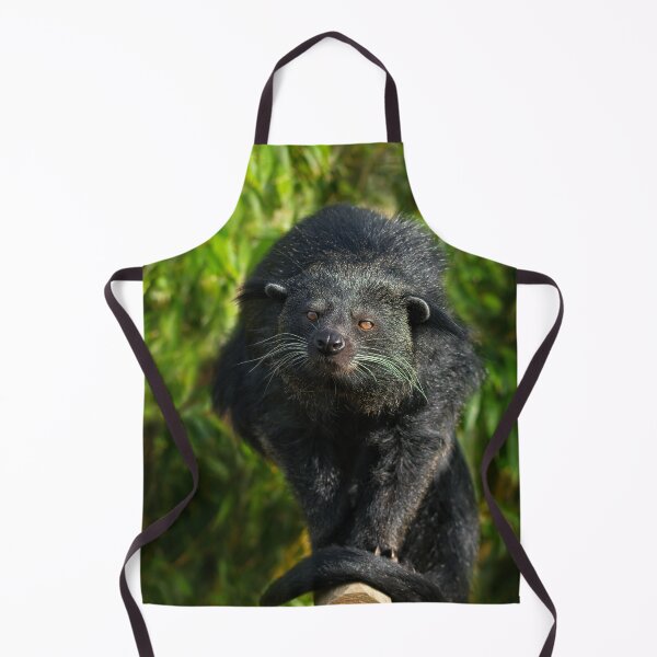 Item preview, Binturong Looking At You designed and sold by rawshutterbug.