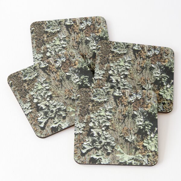 Item preview, Lichens on a fencepost designed and sold by joshuarainbird.