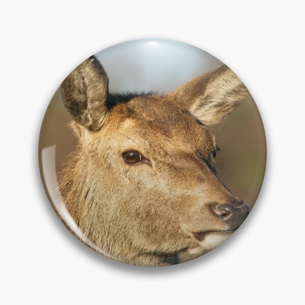 Item preview, Wild Red Deer designed and sold by rawshutterbug.