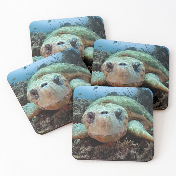 Item preview, Curious Loggerhead Turtle designed and sold by Ronald Missick.