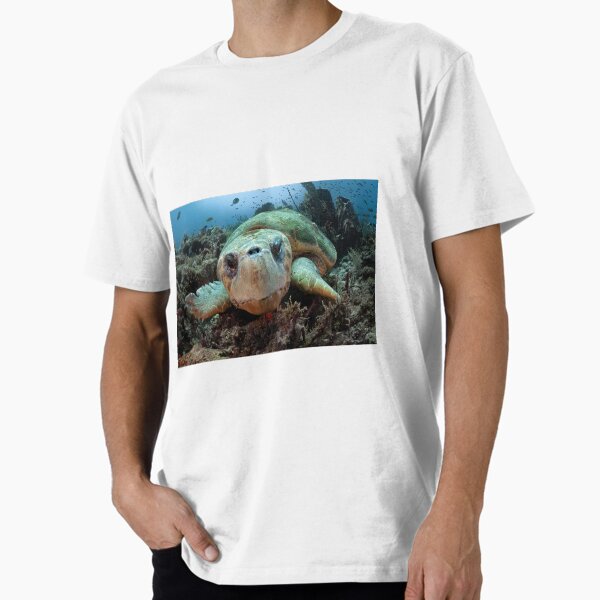 Item preview, Curious Loggerhead Turtle designed and sold by Ronald Missick.